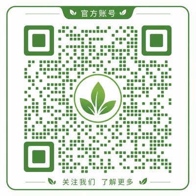 免费看片
